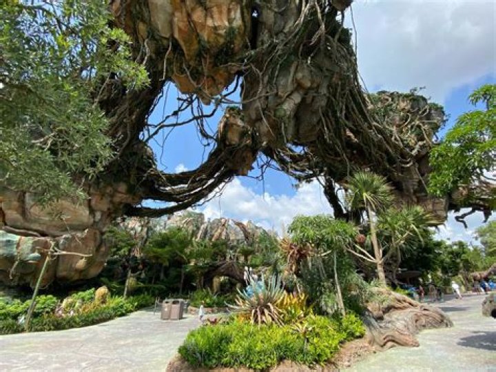 Experience The Enchanting World Of Avatar On Disney+