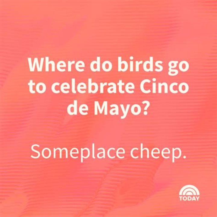 Laughter Time! 5 De Mayo Memes For A Hilarious Celebration