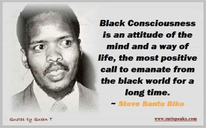 Pioneering Activism: Steve Biko's Leadership In The Black Consciousness Movement