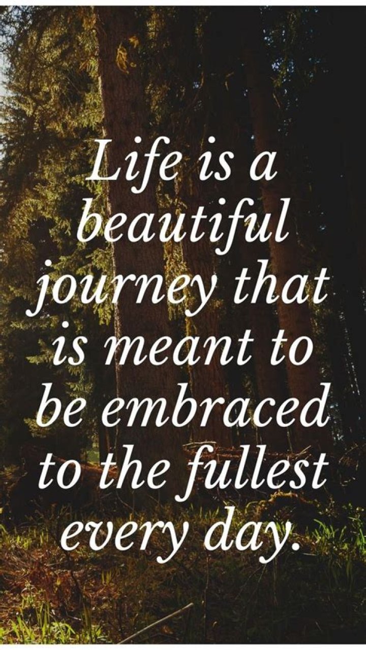 The Profound Beauty Of Life: An Unforgettable Journey In "A Beautiful Life"
