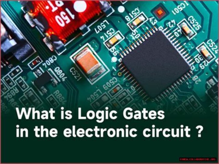 Where Logic Was Born: Tracing Its Origins