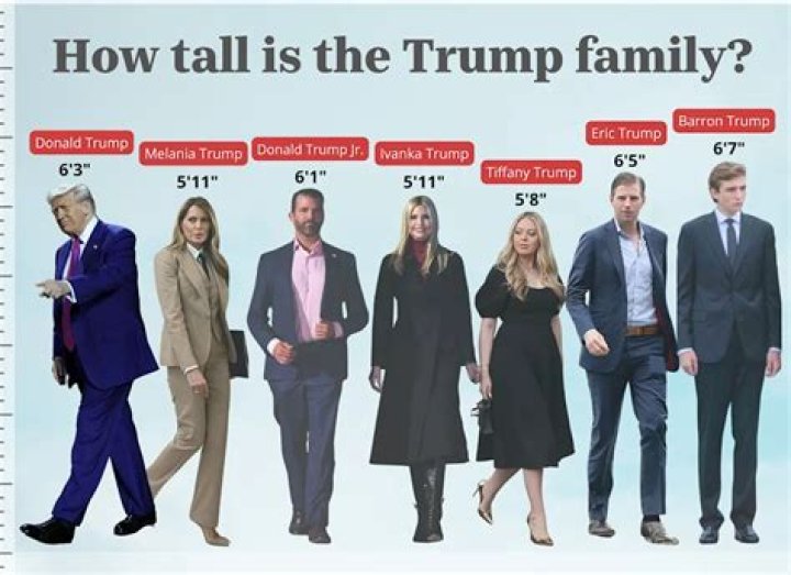 Will Ferrell's Height: How Tall Is The Comedic Giant?